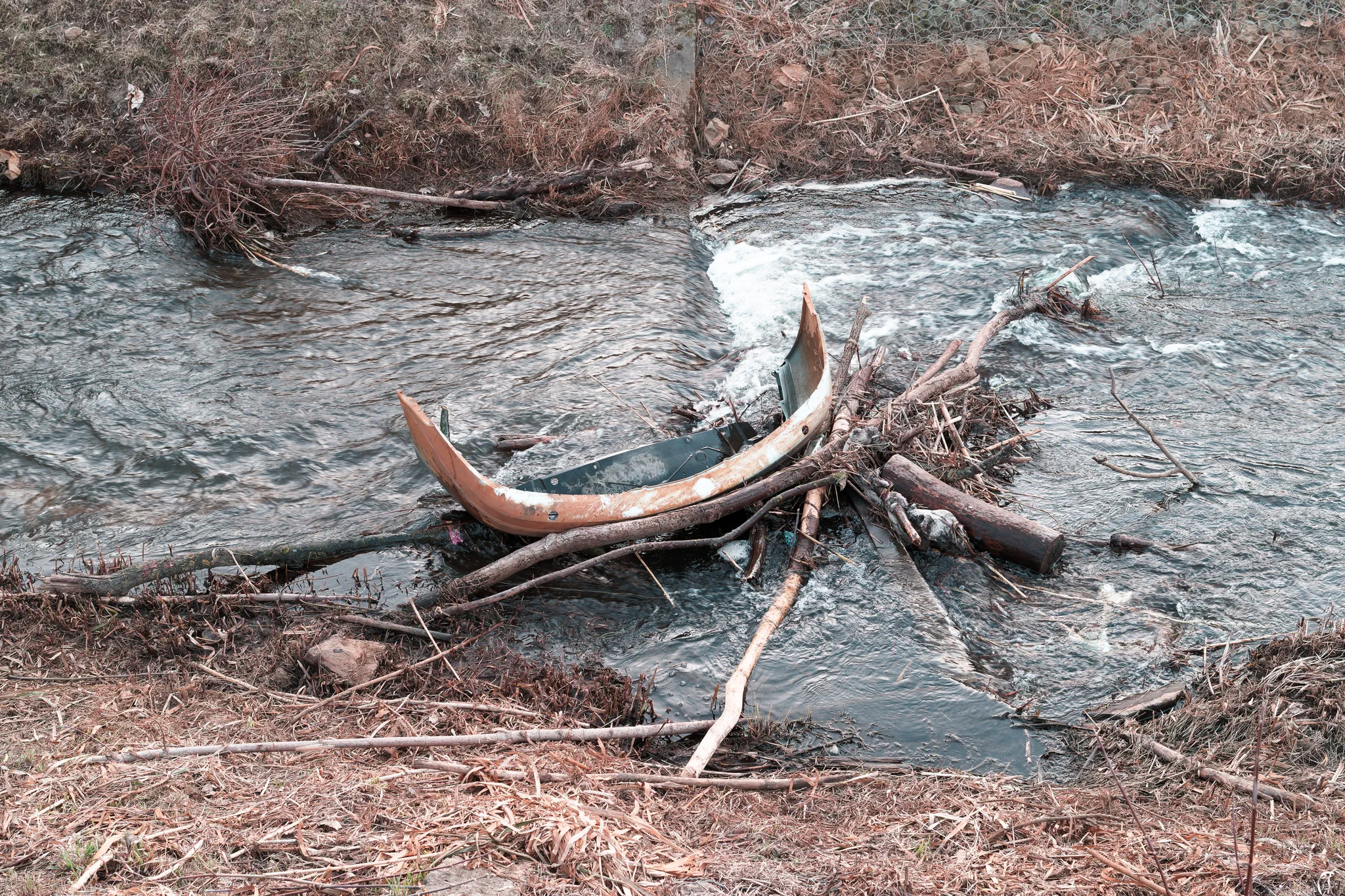 Green and White - image 010
